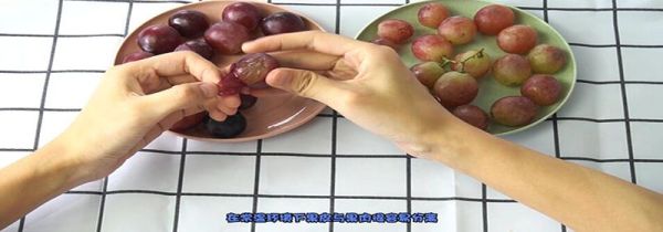 葡萄和提子的区别