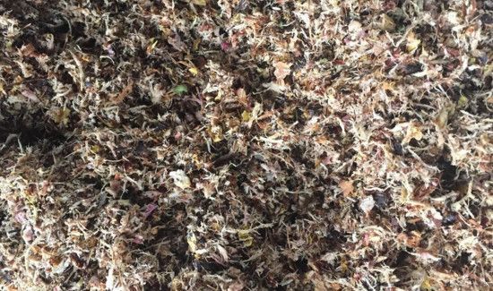 中药渣可以做花肥吗