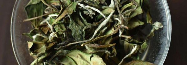 白茶的四个分类