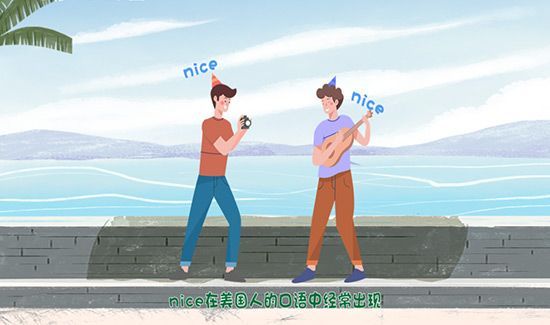 nice什么意思