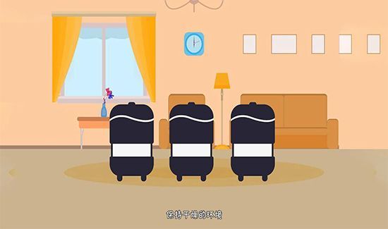 蟑螂怕什么