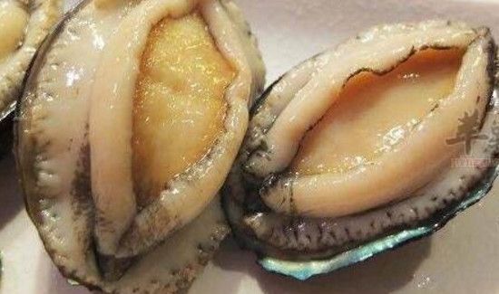 鲍鱼的清洗方法有哪些