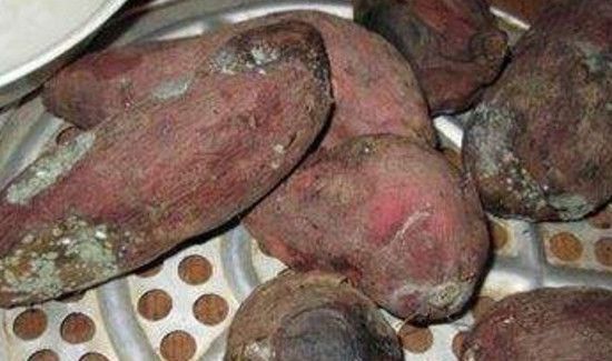 吃了坏红薯怎么解毒