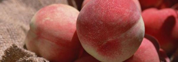 怎样自制发酵桃子酒