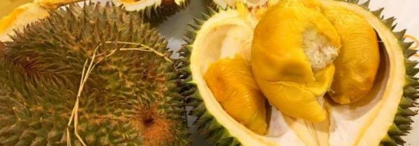 榴莲开了一半发现没熟