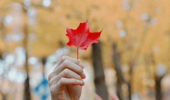 出伏后还要热多久