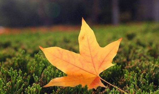 立秋后天气有什么变化