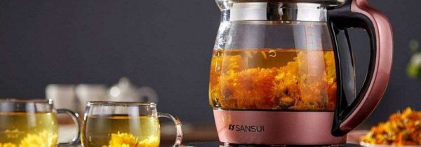 养生壶可以煮中药吗