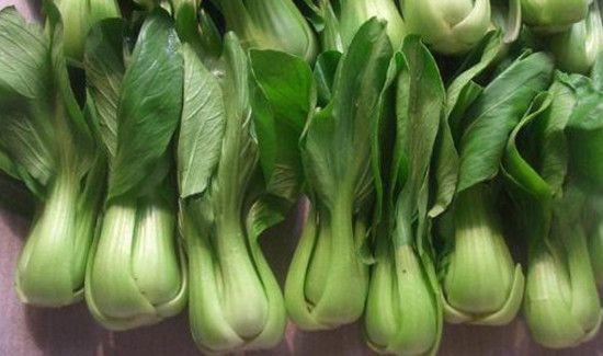 山竹油菜能一起吃吗
