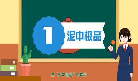 大红袍紫砂壶鉴别