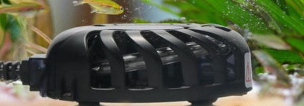 加热棒漏电会电死鱼吗