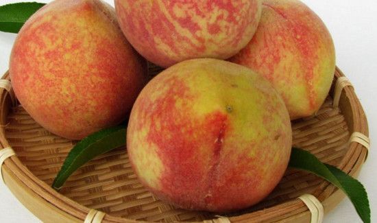 桃是酸性还是碱性食物