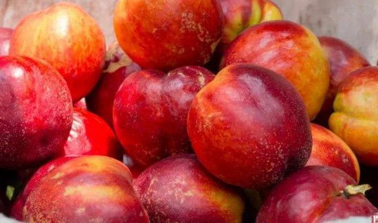 桃是酸性还是碱性食物