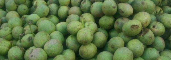 桃核怎么去青皮