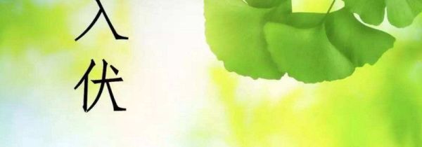 ＂什么时候入伏,每伏几天＂