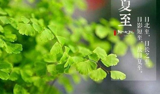 ＂什么时候入伏,每伏几天＂