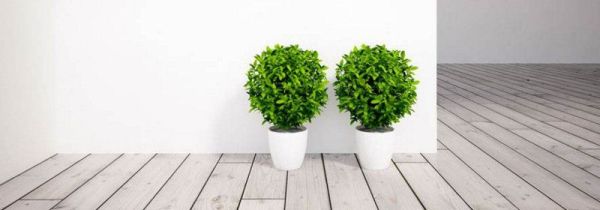 白墙脏了怎么处理