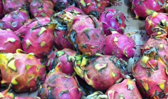 火龙果皮发霉了还能吃吗