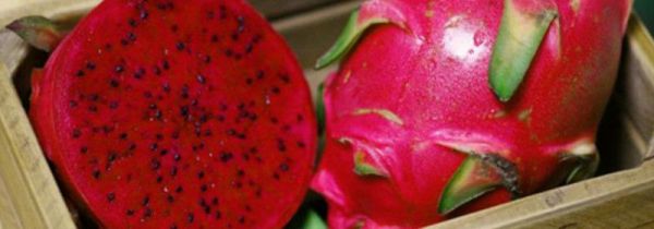 火龙果皮发霉了还能吃吗