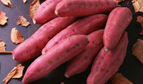 红薯是酸性还是碱性