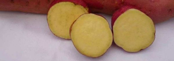 红薯是酸性还是碱性