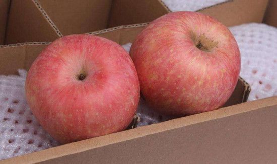 苹果和梨能一起吃吗