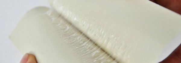 苍蝇太多怎么办