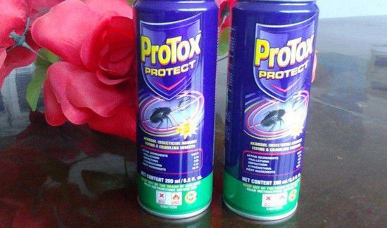 苍蝇太多怎么办