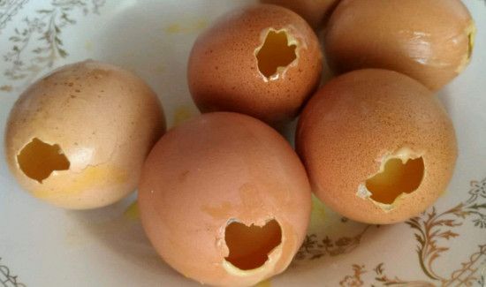 蛋壳是湿拉极还是干拉极