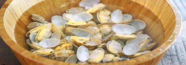 花蛤是干垃圾还是湿垃圾