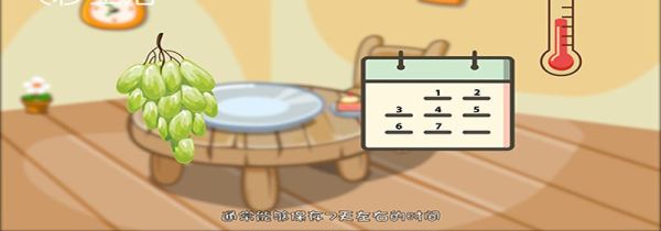提子能放几天