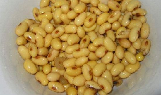 黄豆长虫子还可以吃吗