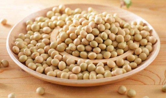 黄豆长虫子还可以吃吗