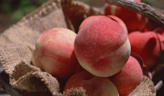 桃李能一起吃吗