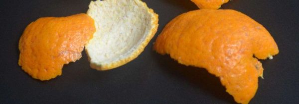 桔皮和陈皮一样吗