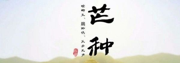 芒种节气在什么季节