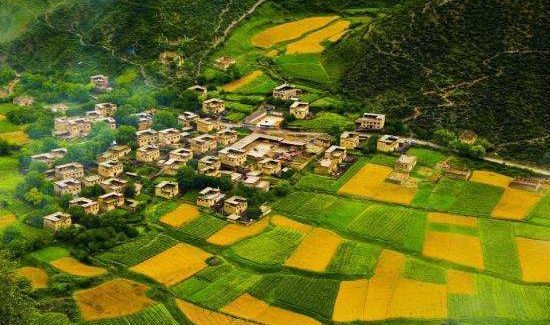 芒种节气在什么季节