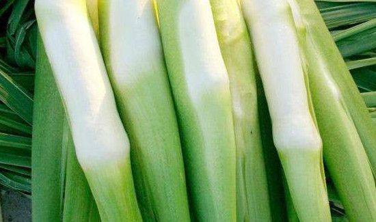 茭白里面的黑点是什么