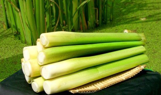 茭白里面的黑点是什么