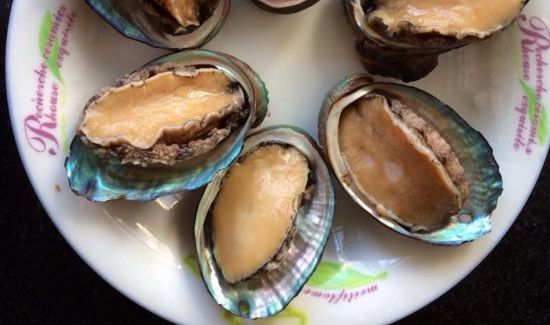 鲍鱼壳是干垃圾还是湿垃圾