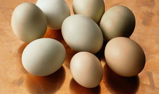 鸡蛋和豆浆能一起吃吗?为什么