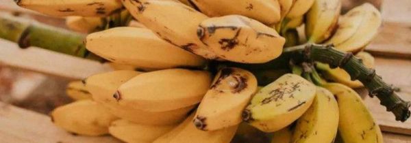 香蕉和海鲜能一起吃吗