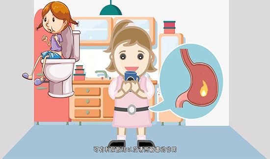 蒲公英茶可以天天喝吗