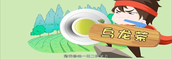 乌龙茶属于什么茶