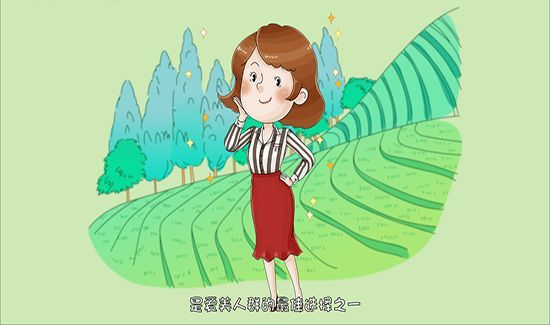 乌龙茶属于什么茶