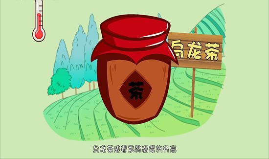 乌龙茶属于什么茶