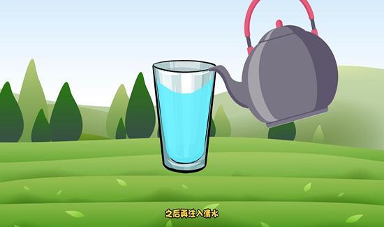 金骏眉属于什么茶