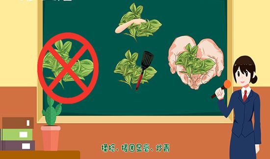 碧螺春属于什么茶