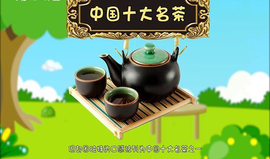 铁观音属于什么茶