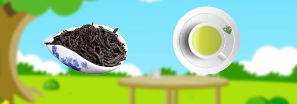 大红袍属于什么茶